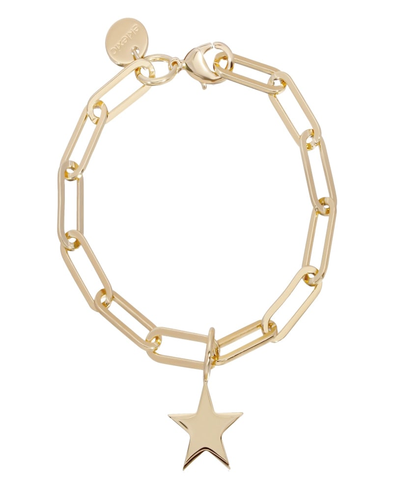 Front of a size 9" Samara & Large Elongated Link Chain Bracelet 9" Gold in Gold by Eklexic. | dia_product_style_image_id:282285